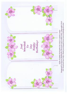 Pale Pink Flower Blossom Tri Fold Screen Card Birthday