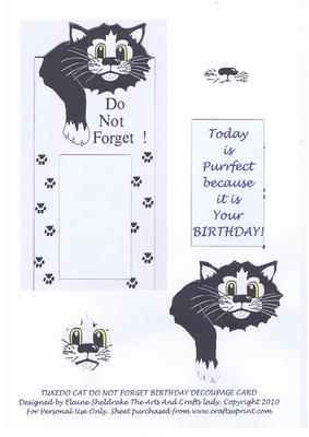 Tuxedo Black & White Cat Tall Birthday Male Decoupage Card