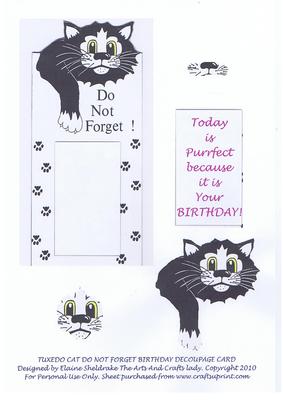 Tuxedo Black & White Cat Tall Birthday Female Decoupage Card