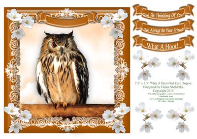 What a Hoot Owl - 7.5" x 7.5" Card Topper