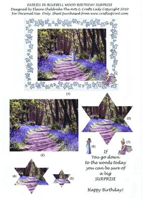 Fairies in Bluebell Wood Birthday Surprise