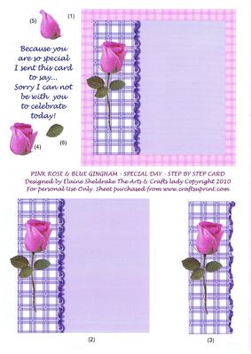 Pink Rose & Blue Gingham - Special Day Birthday Anniversary