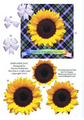 Sunflower Days Step by Step Birthday Get Well Thank You