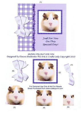 Guinea Pig Just for You Special Day Step by Step Square Card