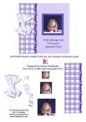 Lop Eared Bunny Rabbit Special Day Double Pyramid Card Cute