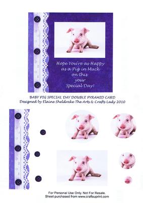 Baby Pig Special Day Double Pyramid Card