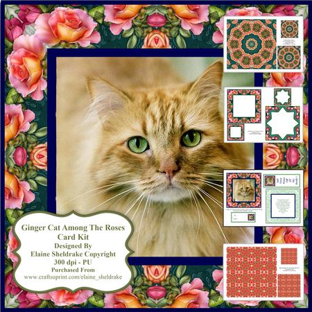 Ginger Cat Among the Roses Card Kit