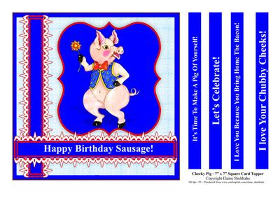 Cheeky Pig 7" x 7" Card Topper with 5 Different Greetings