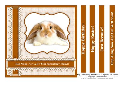 Lop Eared Bunny Rabbit 7" x 7" Card Topper with 5 Greetings