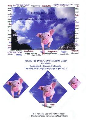 Flying Pig in Sky You Are How Old Fun Pyramid Birthday Card