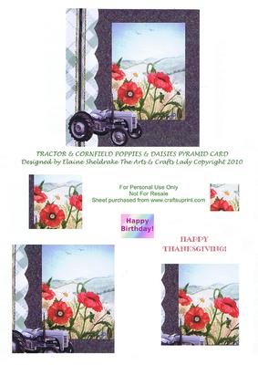 Fergie Tractor Corn Field Poppies Daisies Birthday / Harvest