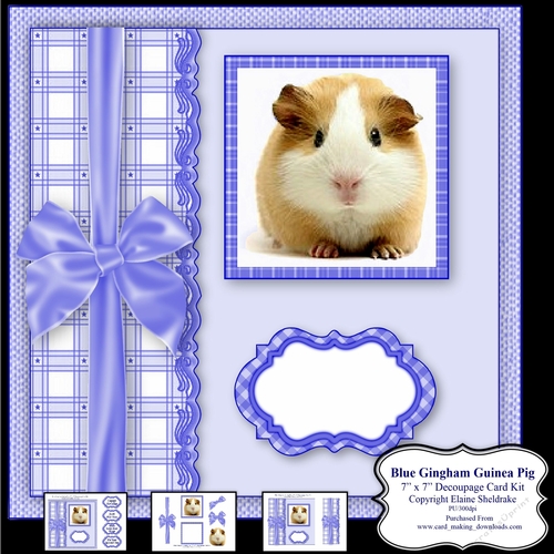 Blue Gingham Guinea Pig - 7 x 7 Card Topper With Decoupage