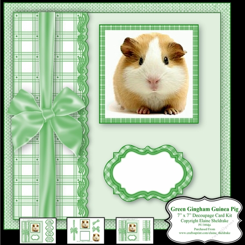 Green Gingham Guinea Pig - 7