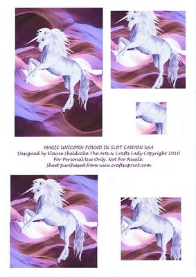 Magic Unicorn Found in Slot Canyon Usa Birthday Get Well Etc