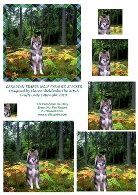 Canadian Timber Wolf Pyramid Stacker Birthdays Etc.