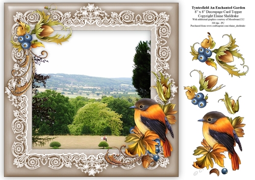 Tyntesfield (2) An Enchanted Garden 8 x 8 Floral Decoupage Card Sheet