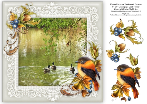 Upton Park (2) An Enchanted Garden 8 x 8 Floral Decoupage Card Sheet