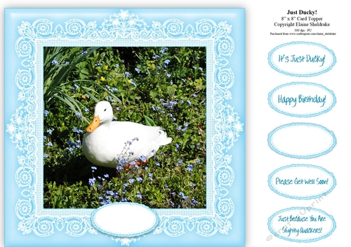 Just Ducky - 8 x 8 Card Topper