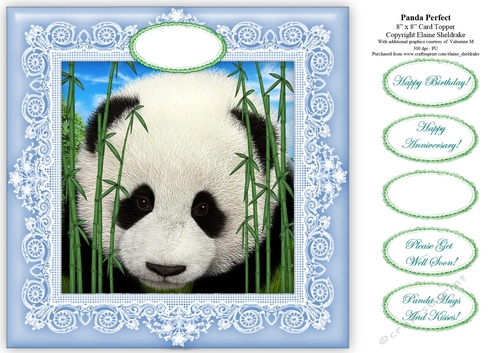 Panda Perfect - 8 x 8 Card Topper