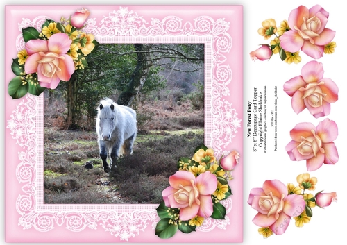 New Forest Pony 8 x 8 Floral Decoupage Card Topper