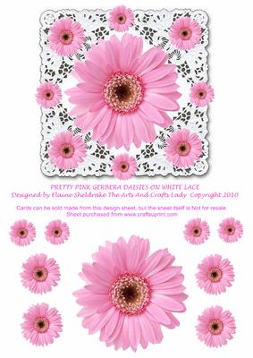 Pretty Pink Gerbera Daisies on White Lace Birthdays Etc.