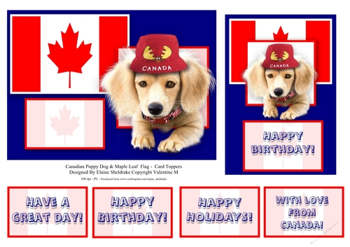 Canadian Puppy Dog & Maple Leaf Flag - Card Toppers & Greetings
