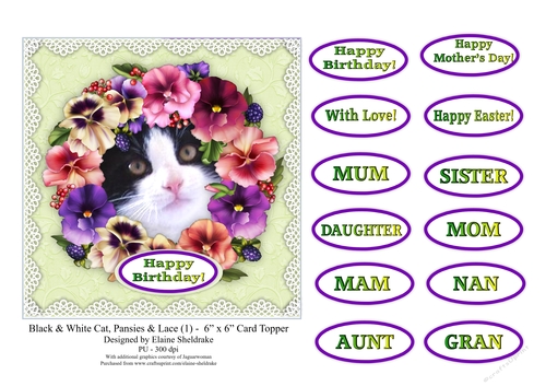 Black & White Cat, Pansies & Lace (1) - 6 x 6 Card Topper & Sentiments