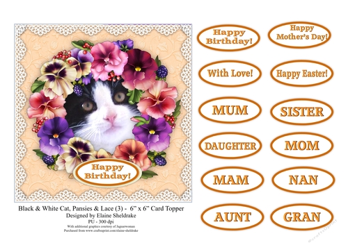 Black & White Cat, Pansies & Lace (3) - 6 x 6 Card Topper & Sentiments