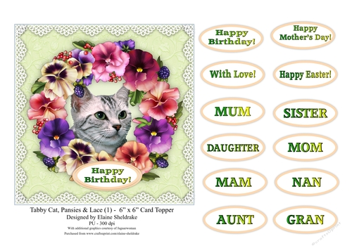 Tabby Cat, Pansies & Lace (1) - 6 x 6 Card Topper & Sentiments