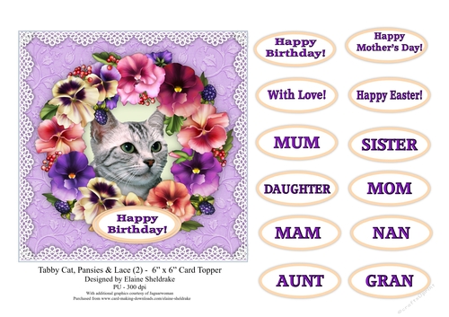 Tabby Cat, Pansies & Lace (2) - 6 x 6 Card Topper & Sentiments