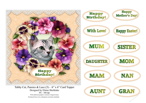 Tabby Cat, Pansies & Lace (3) - 6 x 6 Card Topper & Sentiments