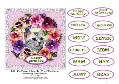 Tabby Cat, Pansies & Lace (4) - 6 x 6 Card Topper & Sentiments