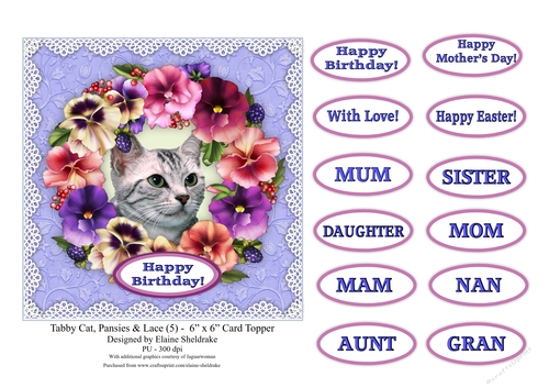 Tabby Cat, Pansies & Lace (5) - 6 x 6 Card Topper & Sentiments