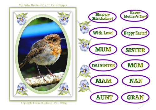 5 x 7 My Baby Robin Card Topper & Greetings For Female Occasions 