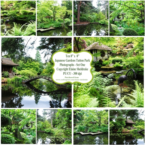 Japanese Gardens At Tatton Park, Cheshire -  Ten 8 x 8 Photographs PU/CU 300dpi