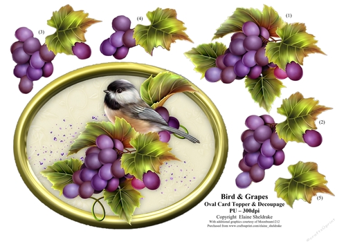 Bird & Grapes - 7 x 5 Decoupage Card Topper
