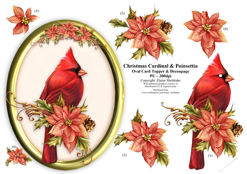Christmas Cardinal  & Poinsettia - 5 x 7 Oval decoupage Card Topper