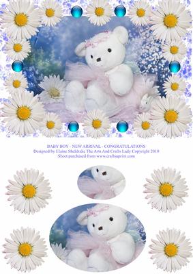 Baby Boy - New Arrival - Congratulations - Birth Announcemen