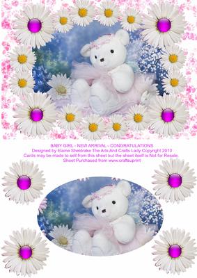 Baby Girl - New Arrival - Congratulations - Birth Announceme
