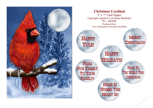 Christmas Cardinal - 5 x 7 Card Topper With Assorted Greetings 