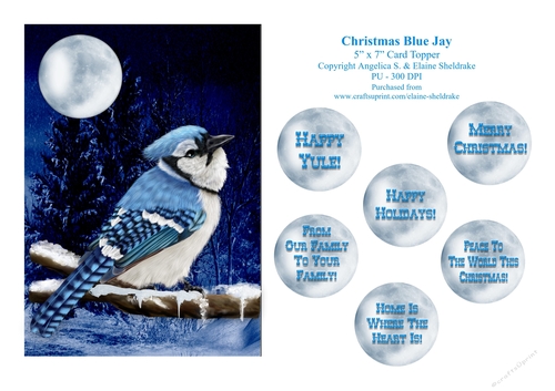 Christmas Blue Jay - 5 x 7 Card Topper With Assorted Greetings 