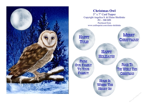 Christmas Barn Owl - 5 x 7 Card Topper With Assorted Greetings 