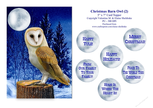 Christmas Barn Owl (2) - 5 x 7 Card Topper & Assorted Greetings