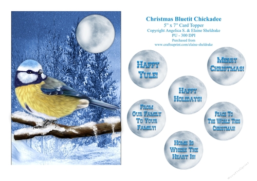 Christmas Bluetit Chickadee - 5 x 7 Card Topper & Assorted Greetings