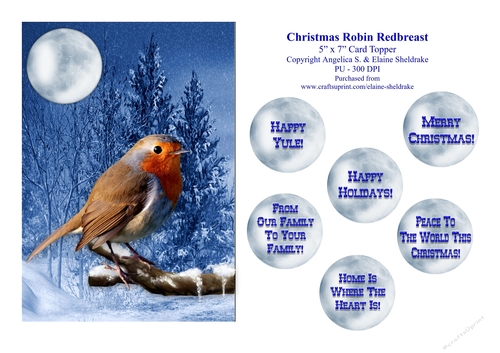 Christmas Robin Redbreast - 5 x 7 Card Topper & Assorted Greetings