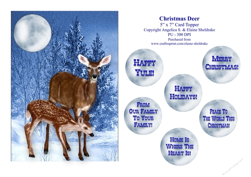 Christmas Deer - 5 x 7 Card Topper & Assorted Greetings - PU 300 DPI
