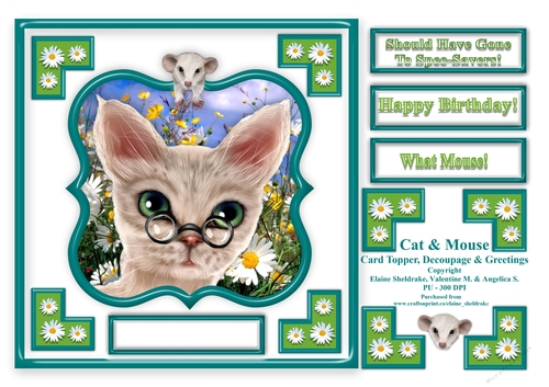 Cat And Mouse - Comical 8 x 8 Card Topper With Decoupage & Greetings