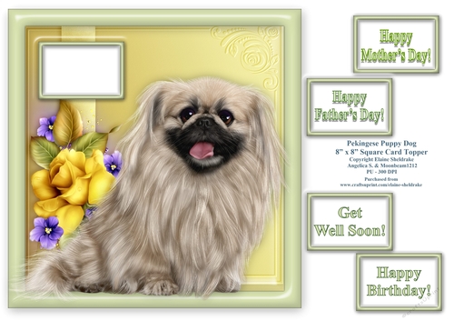 Pekingese Puppy Dog - Fits 8 x 8 Cards