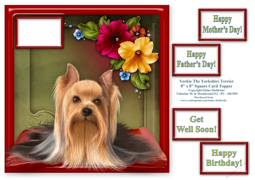 Yorkie The Yorkshire Terrier - Square Card Topper & Assorted Greetings
