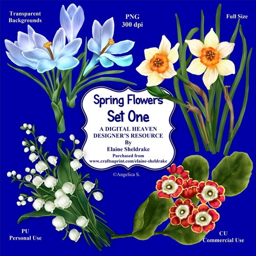 Spring Flowers Set One - CU Designer Resource For Commercial Use Card Making Scrapbooking etc. - Full Size - PNG